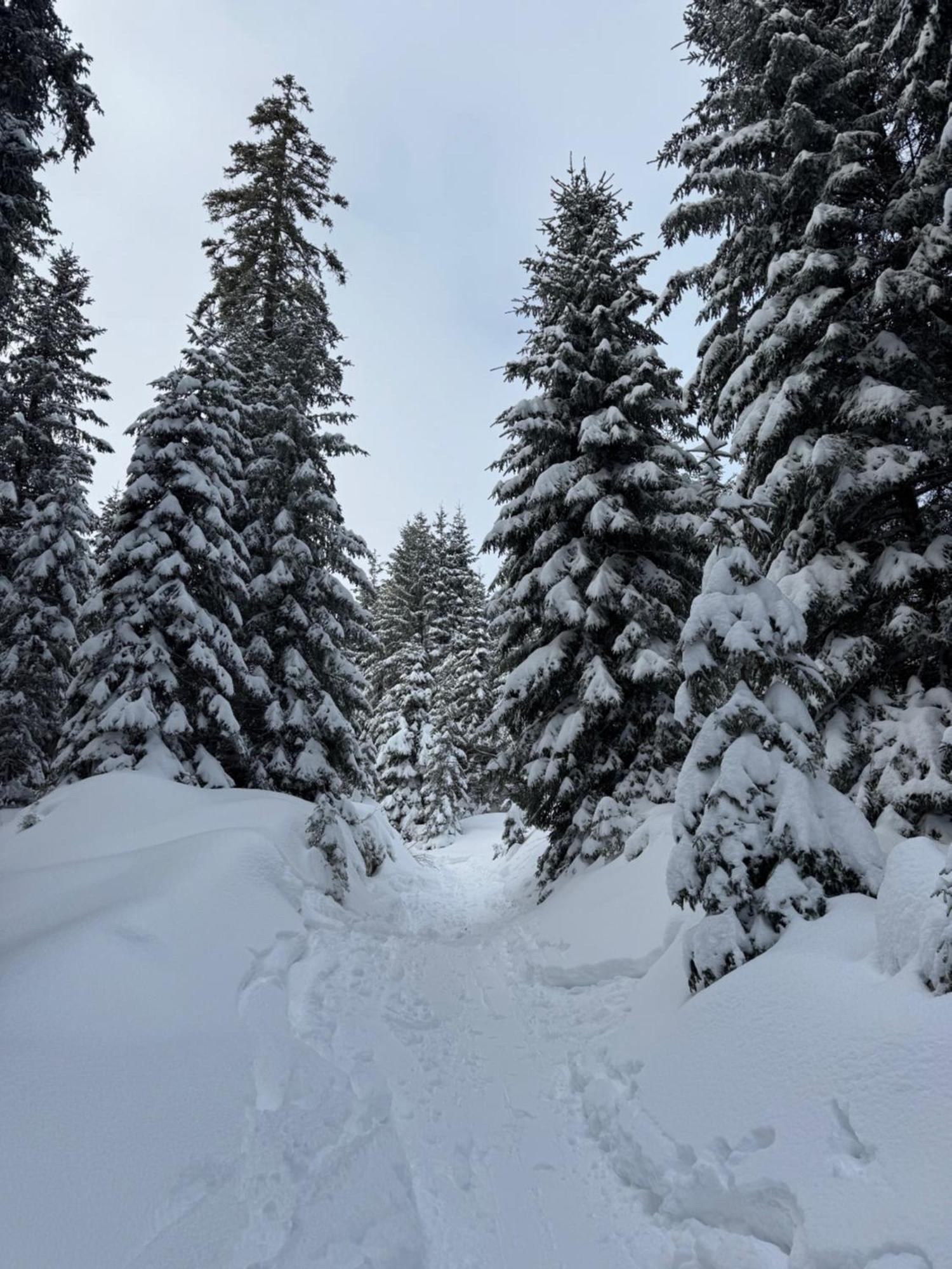 Allgaeu Bergluft Weitnau 外观 照片