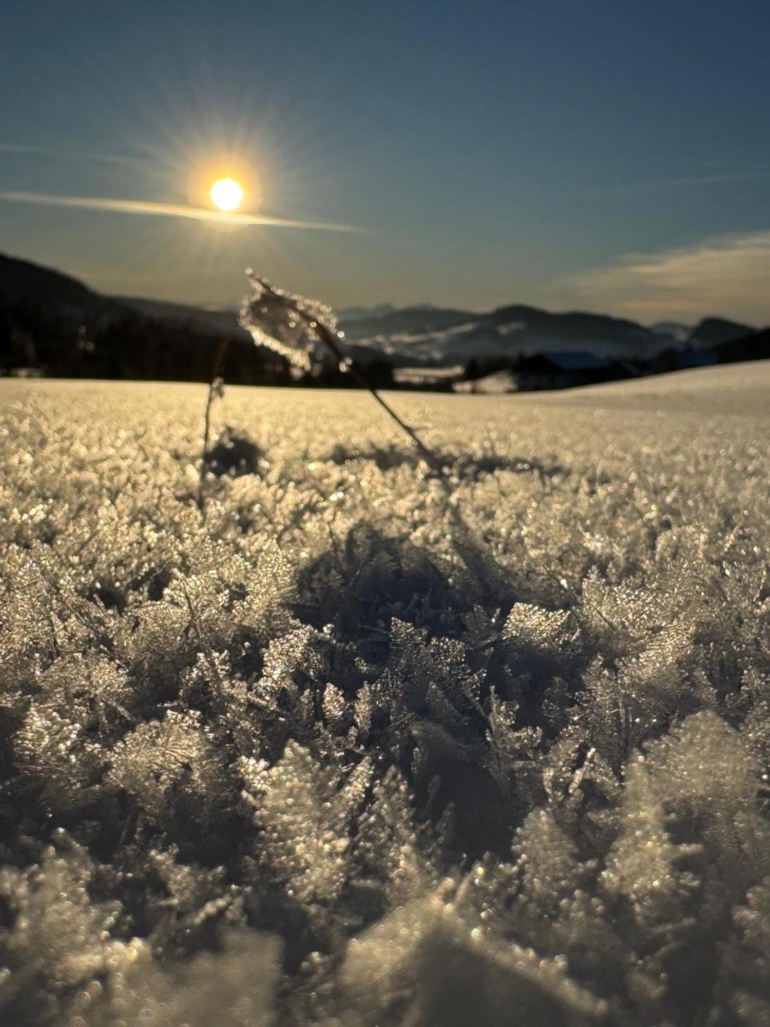 Allgaeu Bergluft Weitnau 外观 照片