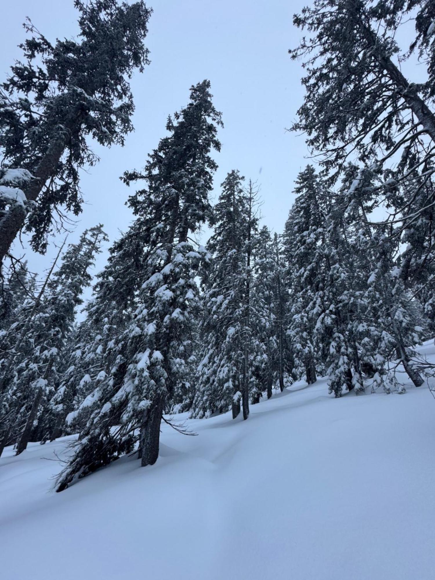 Allgaeu Bergluft Weitnau 外观 照片