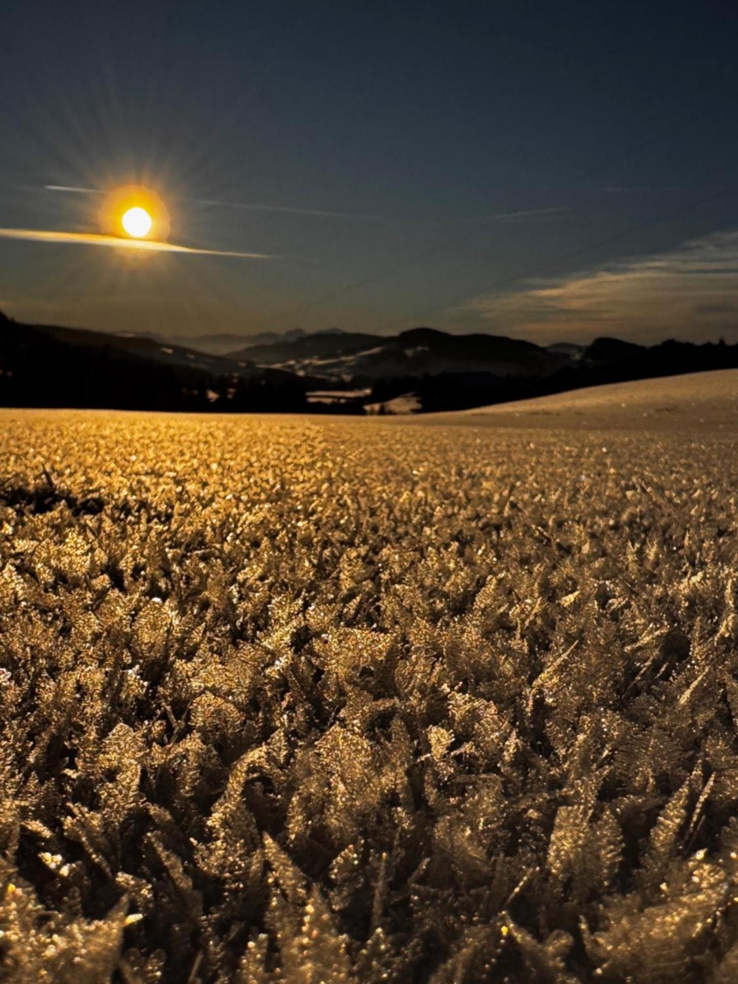 Allgaeu Bergluft Weitnau 外观 照片