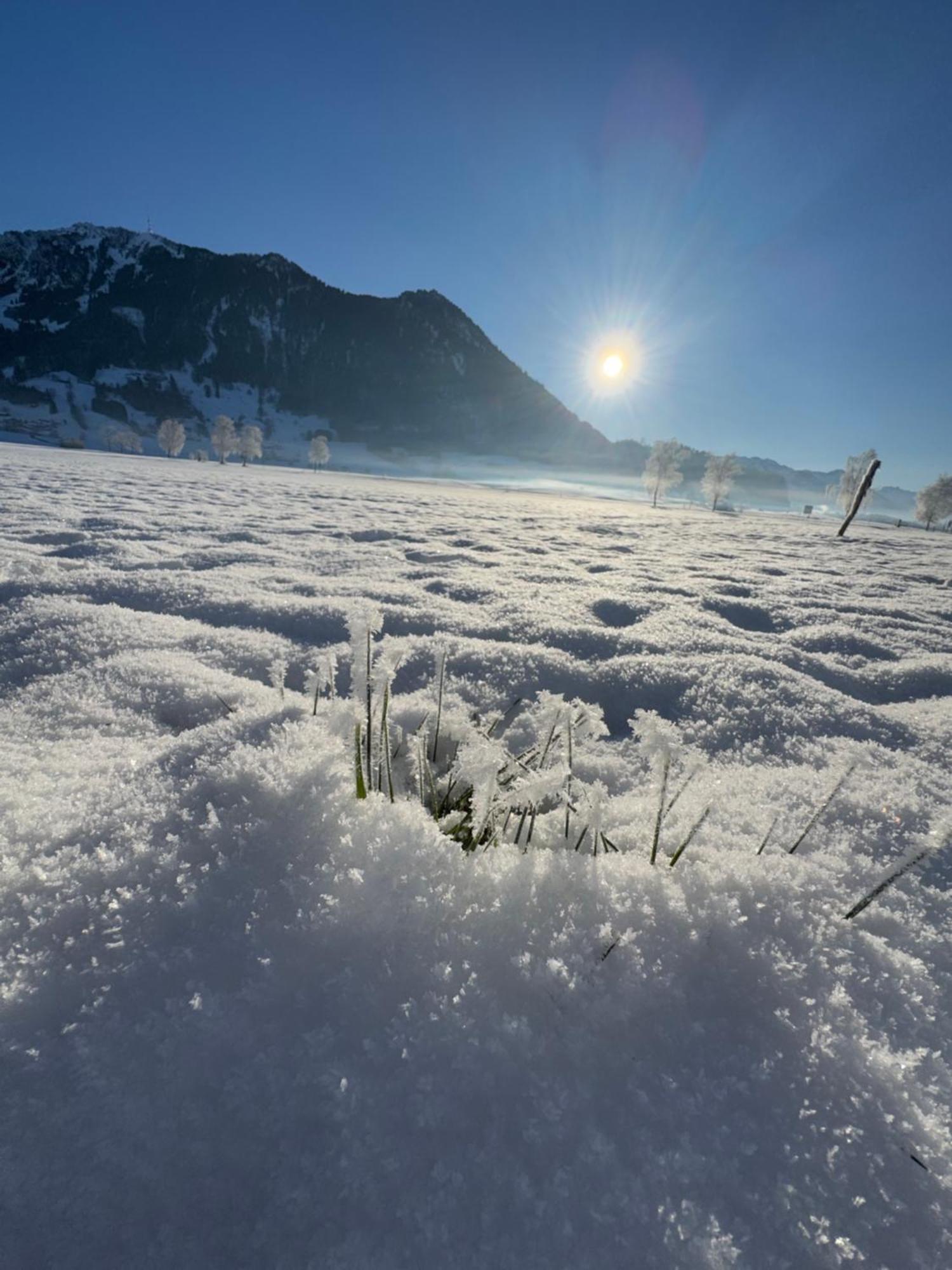 Allgaeu Bergluft Weitnau 外观 照片