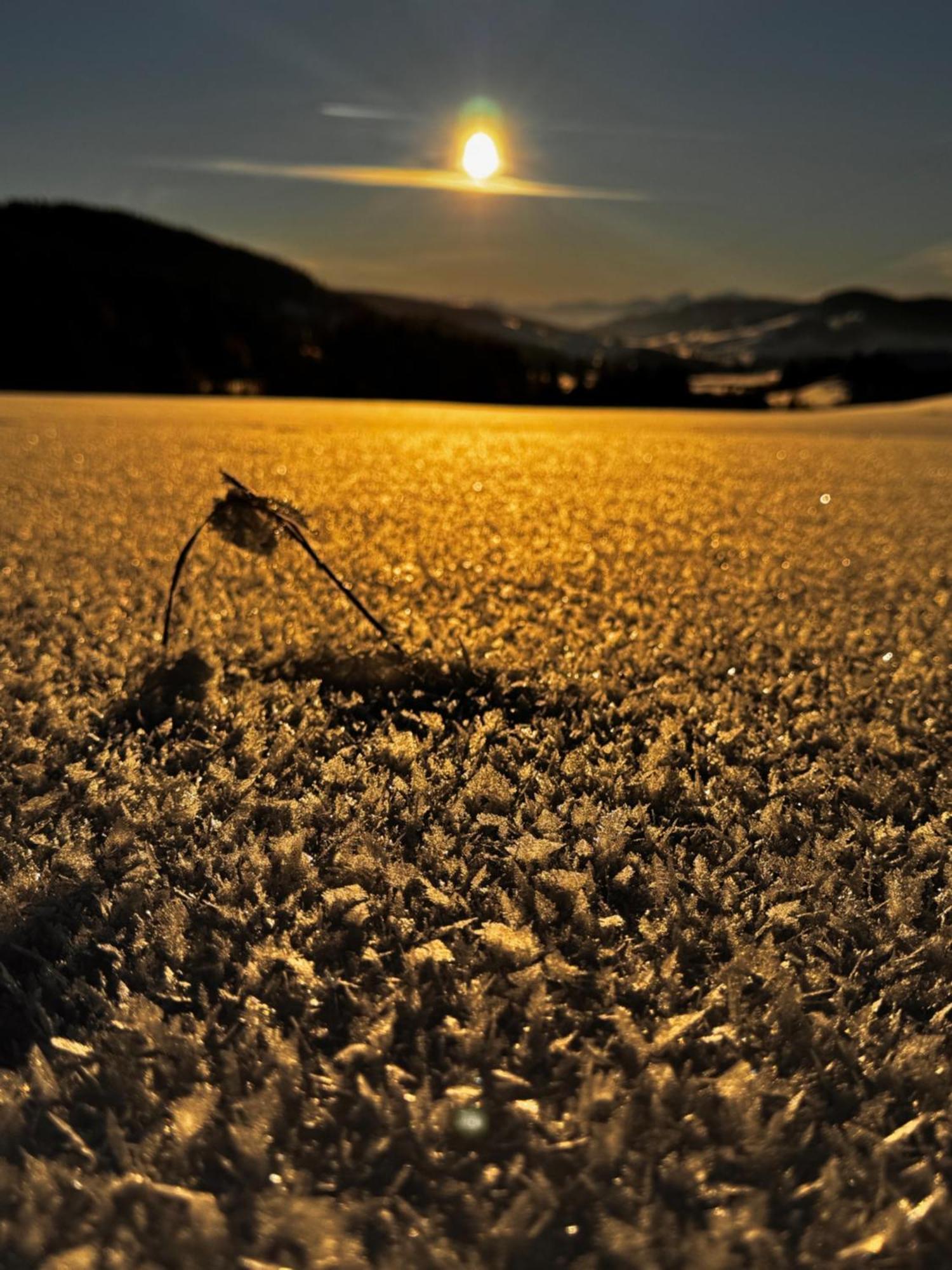 Allgaeu Bergluft Weitnau 外观 照片