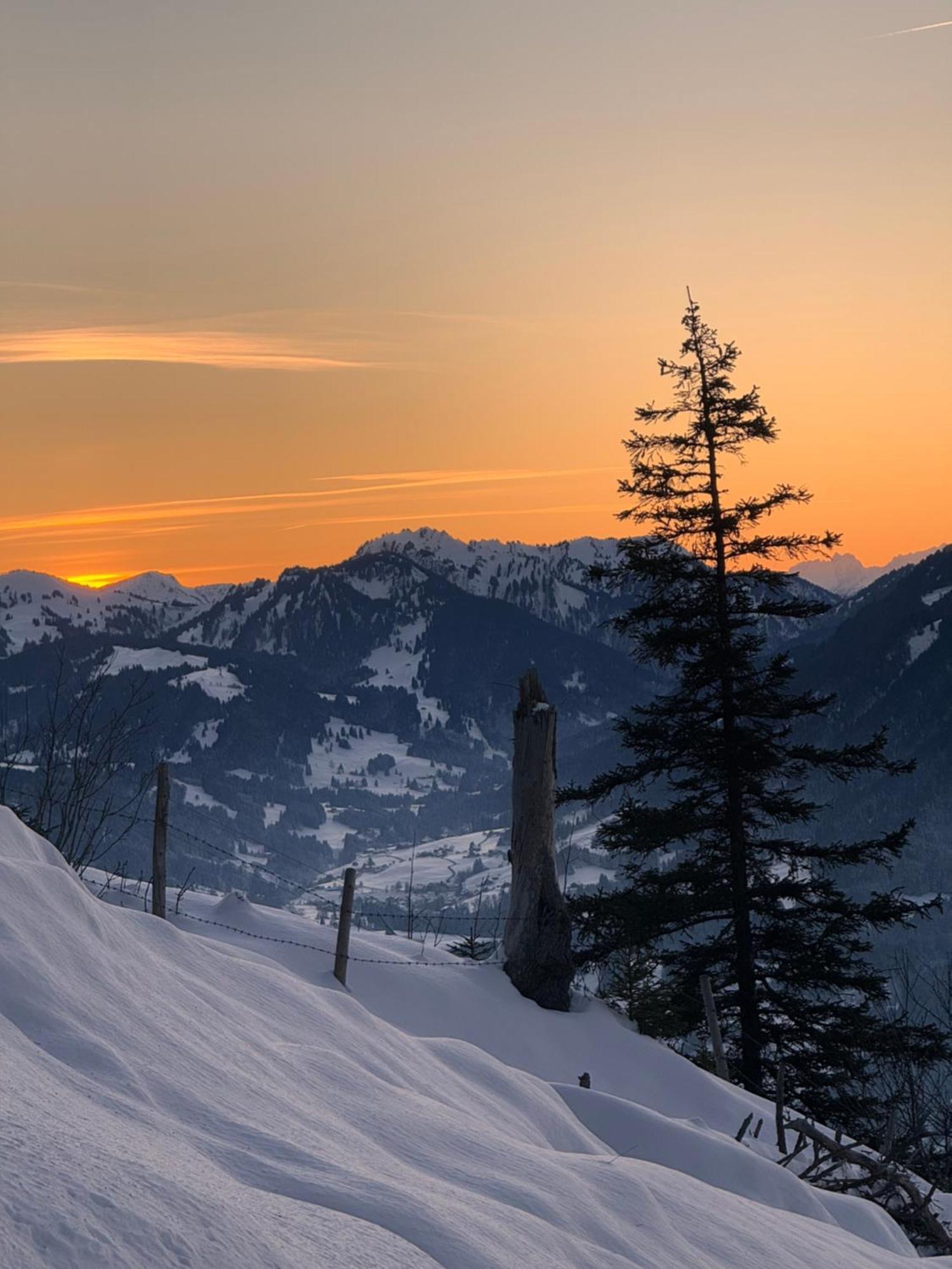 Allgaeu Bergluft Weitnau 外观 照片