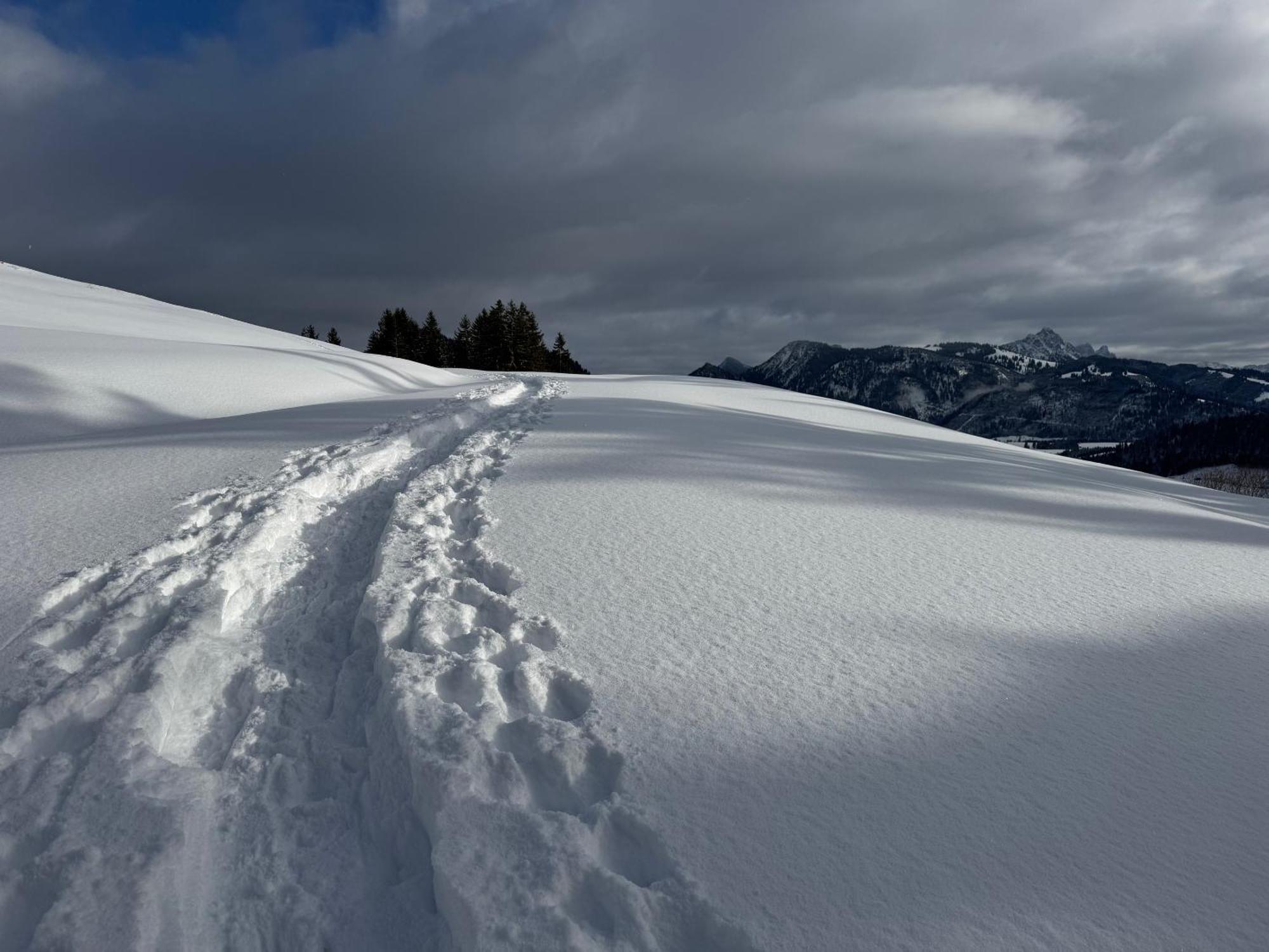 Allgaeu Bergluft Weitnau 外观 照片
