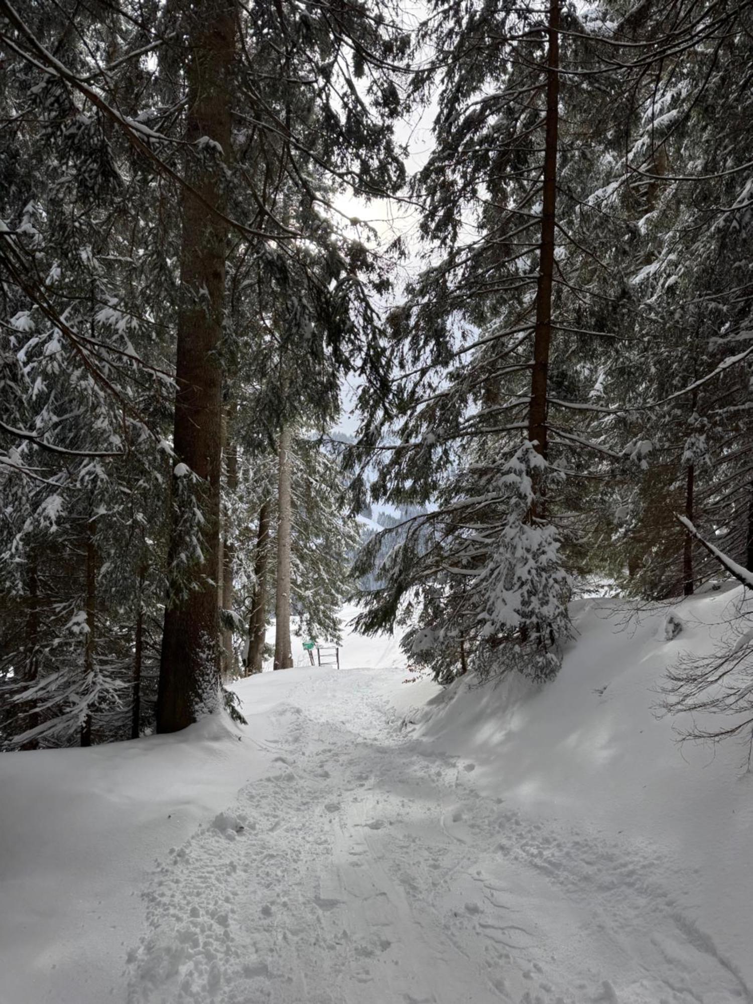 Allgaeu Bergluft Weitnau 外观 照片