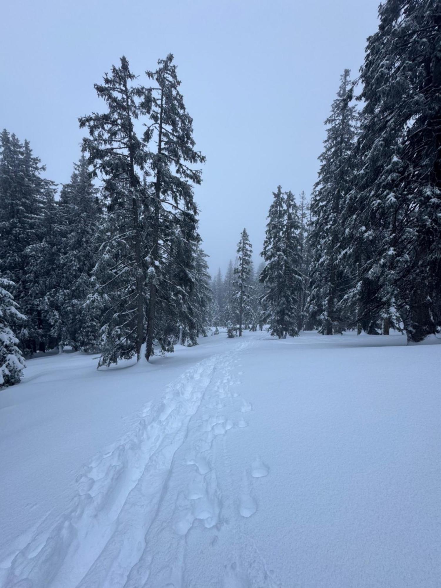 Allgaeu Bergluft Weitnau 外观 照片